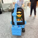 츄츄(chu chu) 이미지