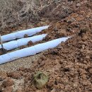 이한응 묘 이미지