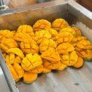 뉴월드안경 | 12월 푸꾸옥 여행 2일차 크레이지파티 호핑투어 / 뉴월드 야외 디너 the starry night 후기