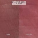 저스트틴트 | 클리오 크리스탈 글램 틴트 누디립 26 모브체리