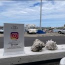 트라몬토 이미지