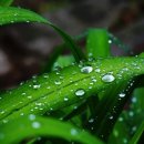 혜현윤공인중개사사무소 이미지