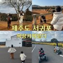 백마자동차 | 성산승마 목장카페 밭디 아이랑 승마체험 이색자전거