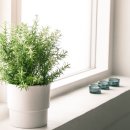 봄디자인 - 보령시 남대천로 123 | 봄디자인