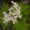 삼단지농장 이미지