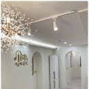 아르떼음악학원 이미지