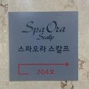 (주)나성 | 세종나성 문제성두피탈모케어관리 스파오라스칼프 세종나성점 후기