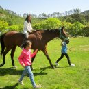 속사초등학교 이미지