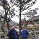 모평헌