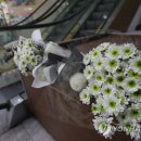 명품 PC방 이미지