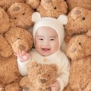 위례 메리베이비 100일사진, 곰돌이 컨셉 대만족 후기