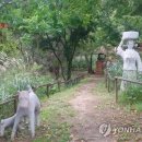 황부자 이미지
