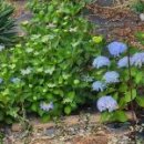 안단테펜션 이미지