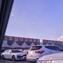 샤브원 | [부산/강서구] 명지 소고기 무제한 샤브샤브 무한리필 맛집 샤브원 후기