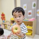 가을과일을 맛보아요🍎🍐 이미지