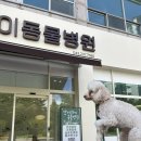 강서하이동물병원 이미지