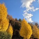 옥포운동장 이미지