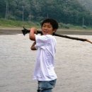 반딧불이 캠프 이미지