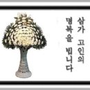 유진심