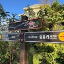 전남 나주시 다도면 나주호 둘레길 2코스 트레킹(1~2코스 중)/2025.12.12.금 이미지