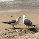 디아이디어센터 | [공지] W19. 결혼 과정