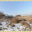 미양공인중개사사무소 이미지