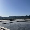 제두염전 이미지