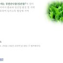 영월군청 앞 이미지