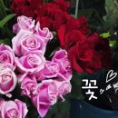 연일꽃화원