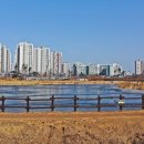 모산골 공원 이미지