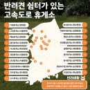 아라동물병원 이미지