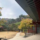다원카페 - 북구 거진길 74 | 다원카페