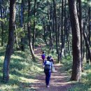 대산항민박 이미지