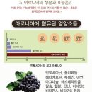 아로니아 분말 1.2kg 66,000원,600g 35,000원 판매합니다. 이미지