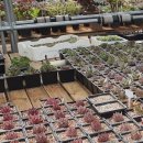 육남매농장 이미지