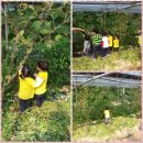 아가숲어린이집 이미지