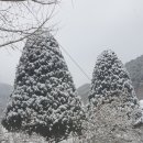 월계축사 네이버블로그