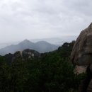 라솔 이미지