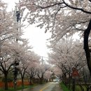 주)월곡영화골 이미지
