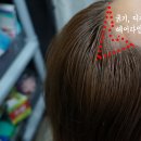 미앤유 헤어라인