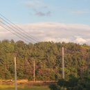 향림동산(흑염소농장) 이미지