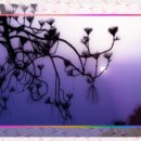 항우 | 초임계알티지오메가3와 항우울 효과 실제 경험과 분석