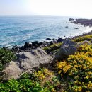 차다목장 이미지