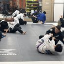 본주짓수평택안중 이미지