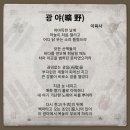 안동 백하구려 | [학부모기자리포트] 광복의 씨앗, 안동(安東)에서 움트다!