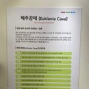 아하데이스파부산