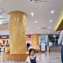 둥둥이김밥 이미지