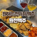 광교호수공원맛집 치맥성지 원천맥주