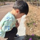 창녕 남산공원 유아숲체험원