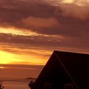 우영수지 이미지